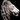 Find the Best Lion Head Wall Art in the UK
