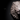 Get Lion Head Wall Art Online in the UK