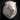 Buy Premium White Lion Head Online in the UK